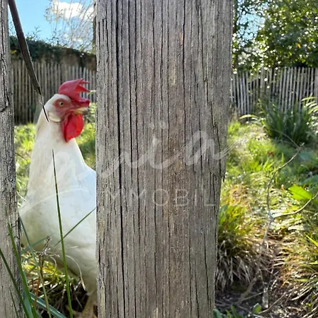 Casa vacanze Chocomaitea - élégance Et Douceur De Vivre *