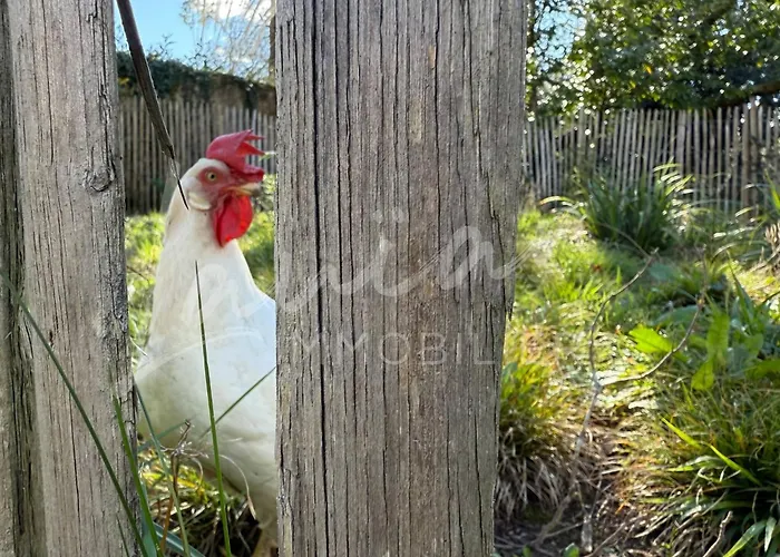 Nyaraló Chocomaitea - Elegance Et Douceur De Vivre *