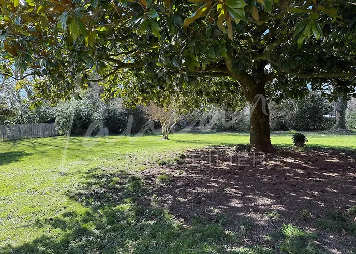 Chocomaitea - Elegance Et Douceur De Vivre 比亚里茨